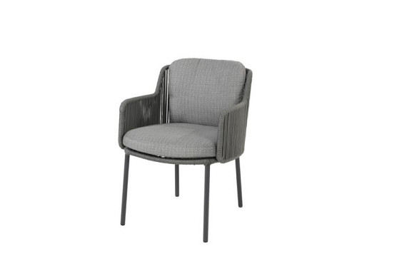 Bernini dining chair Platinum with 2 cushions Platinum afbeelding 2